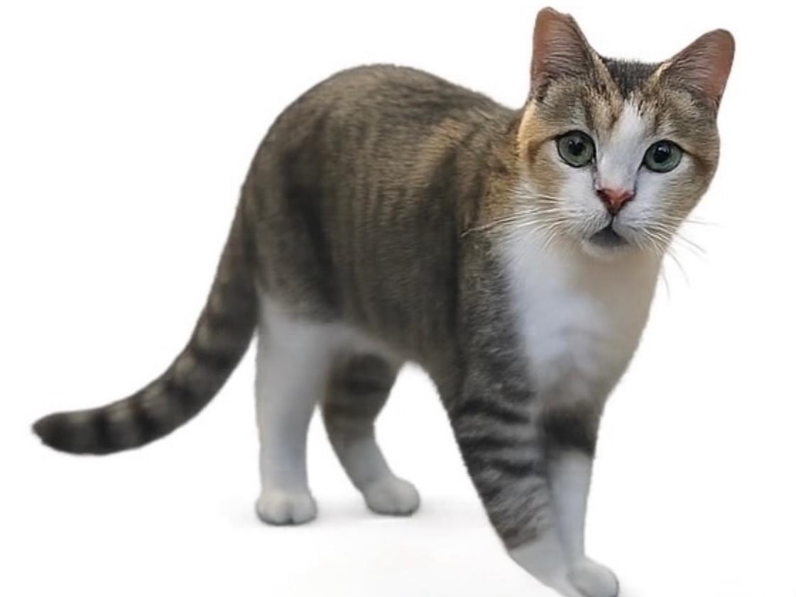のぞきちゃん のぞきちゃん