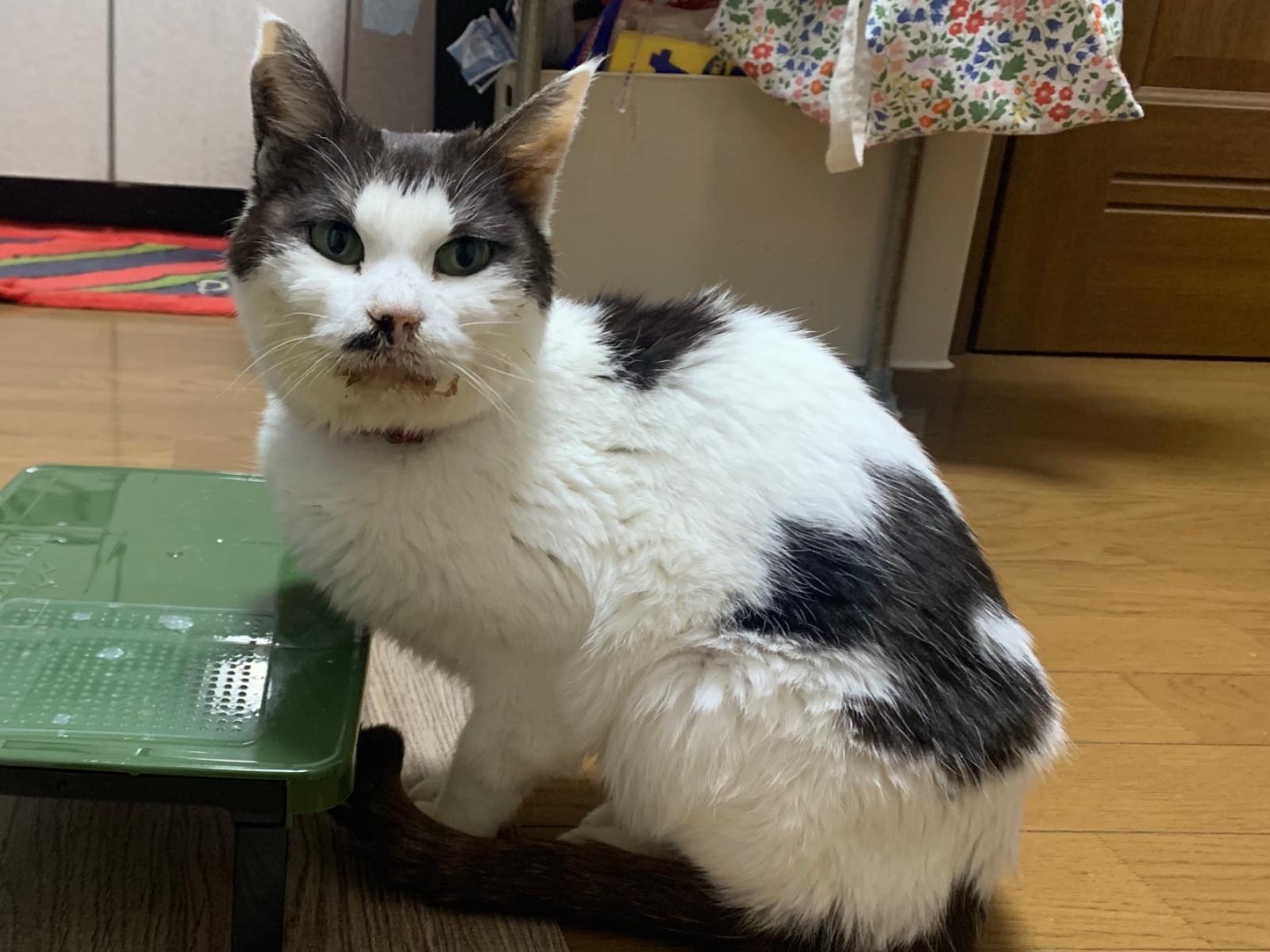 さくちゃん さくちゃん