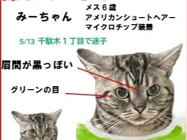 みーちゃん みーちゃん