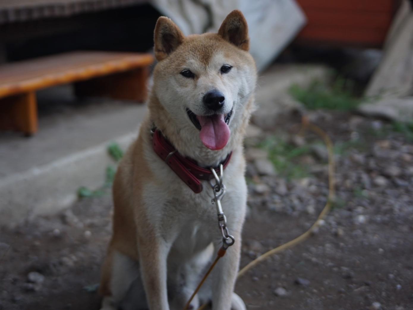 みかんちゃん みかんちゃん