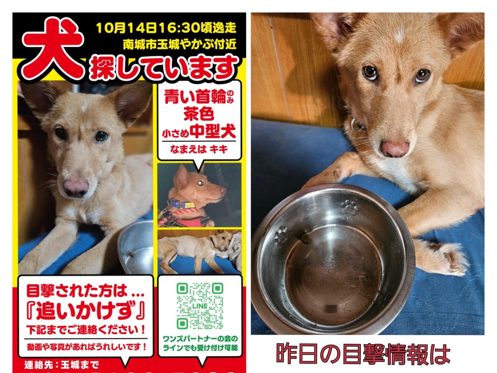 キキちゃん キキちゃん