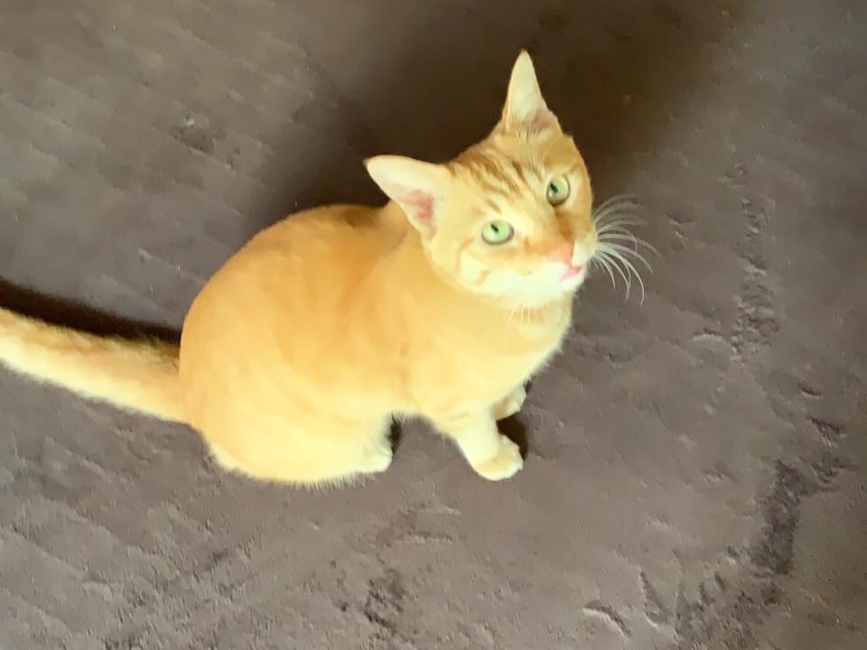 ルイちゃん ルイちゃん