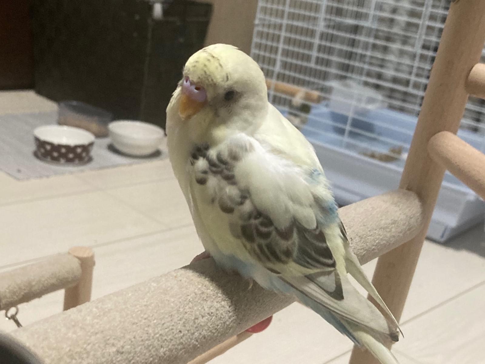 ナツちゃん ナツちゃん