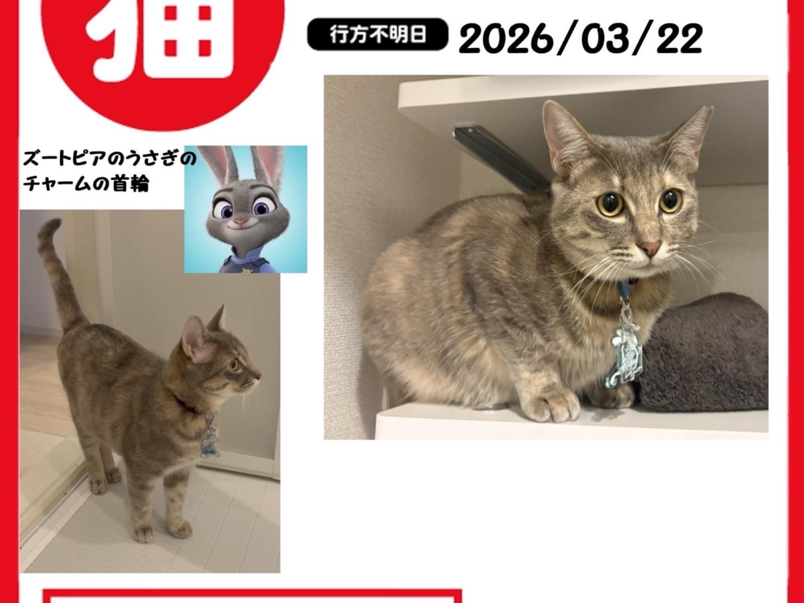 るなちゃん るなちゃん