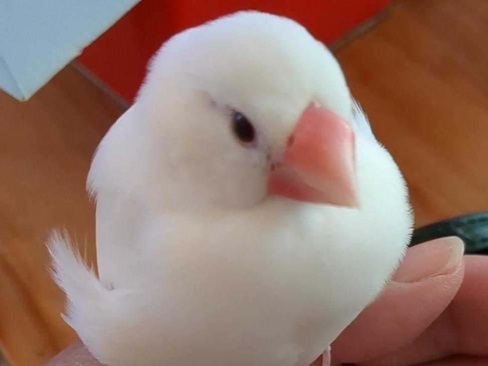 るーちゃん るーちゃん