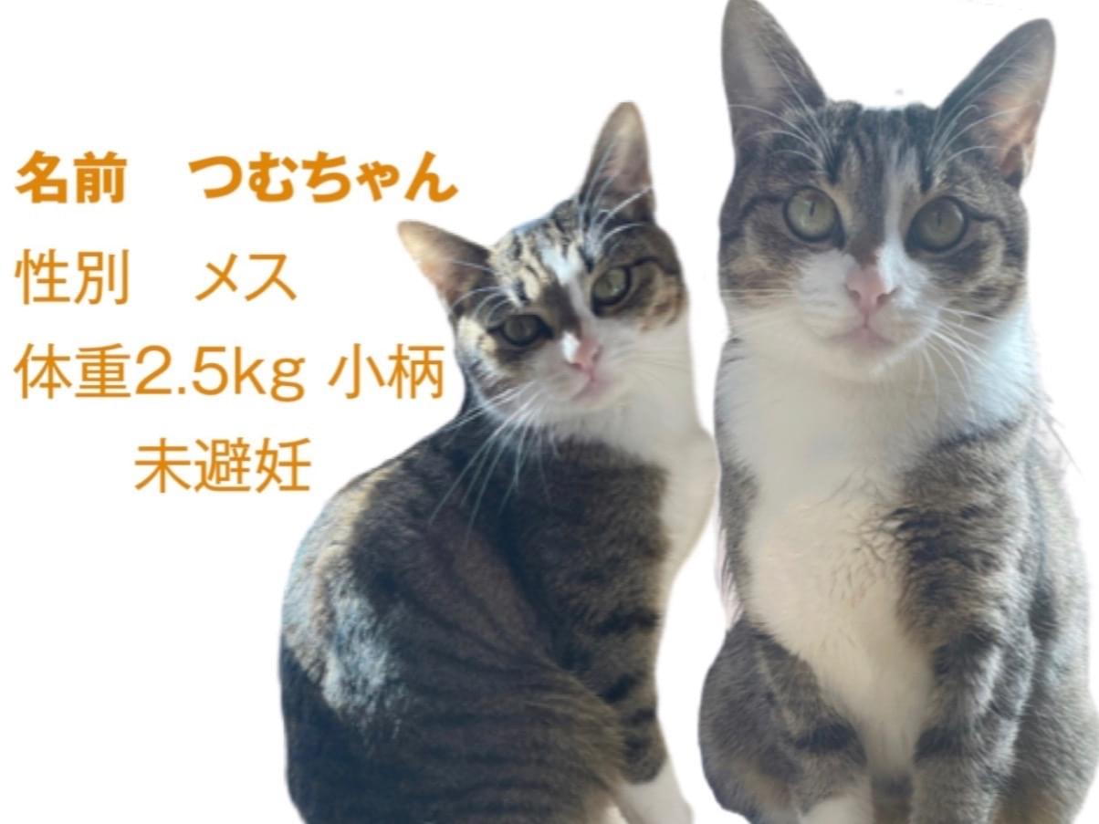つむちゃん つむちゃん