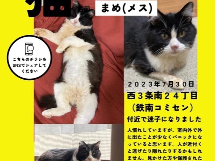 まめちゃん まめちゃん