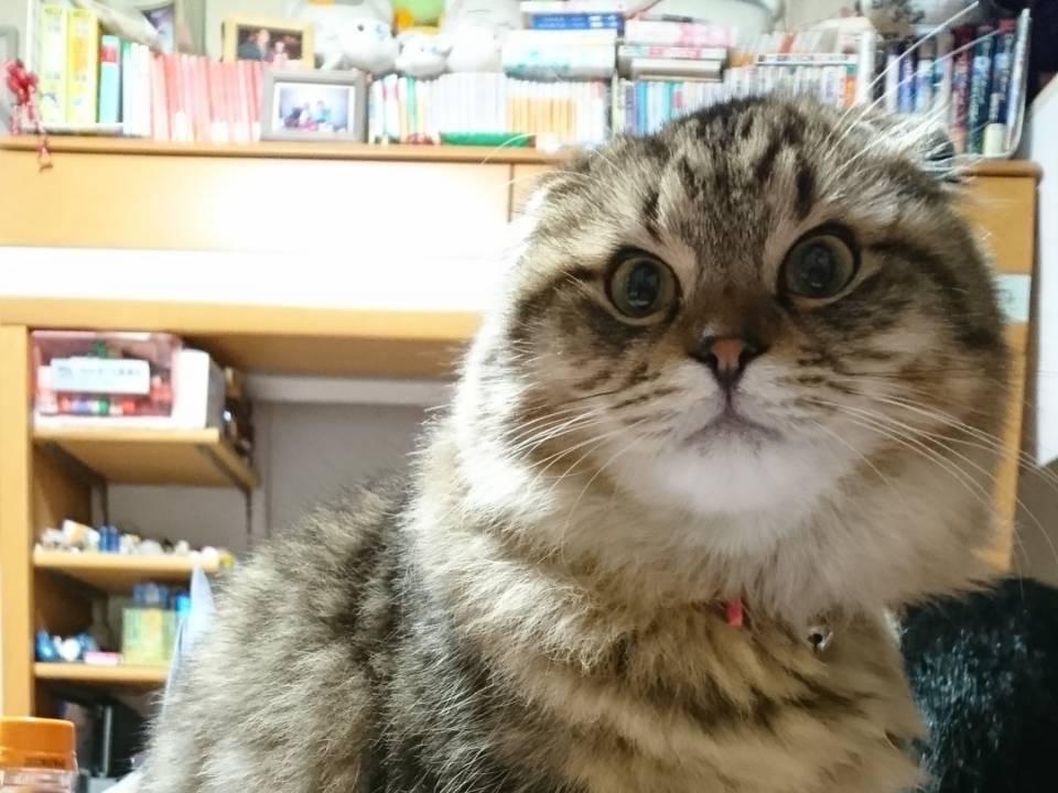 まーちゃん まーちゃん