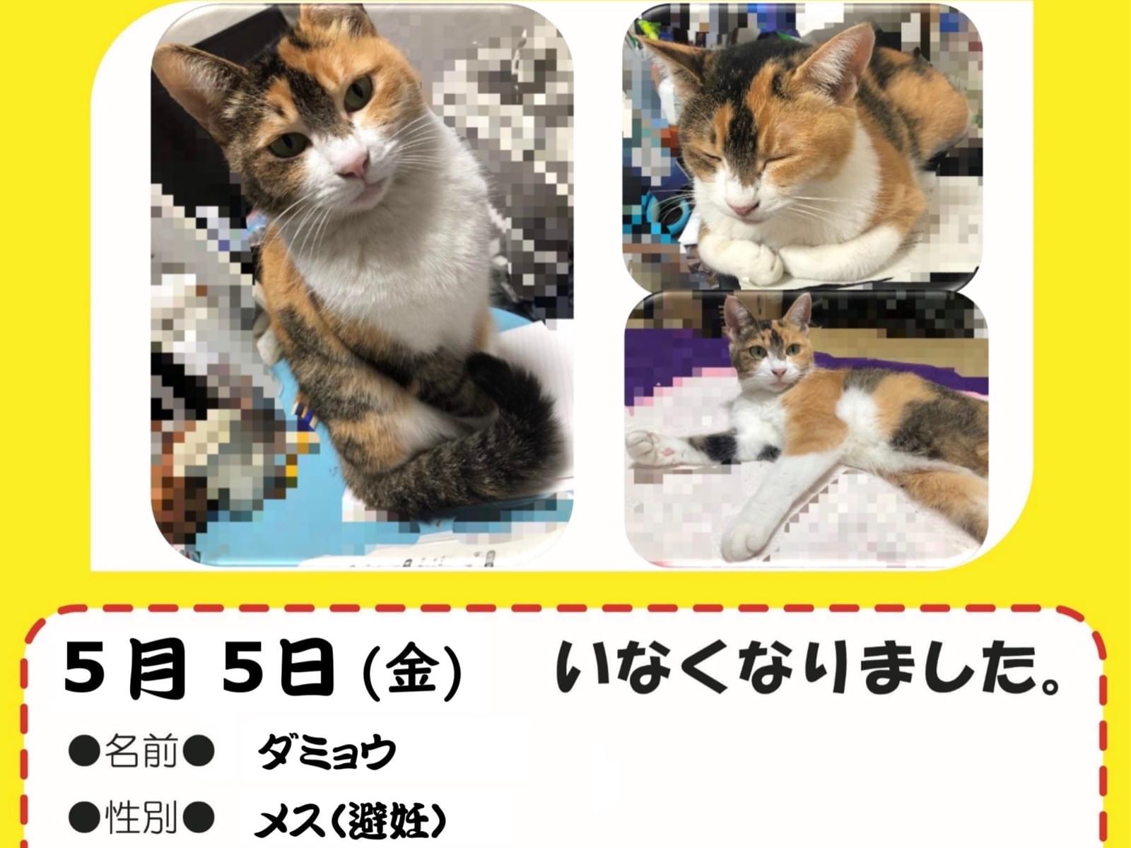 ダミョウちゃん ダミョウちゃん