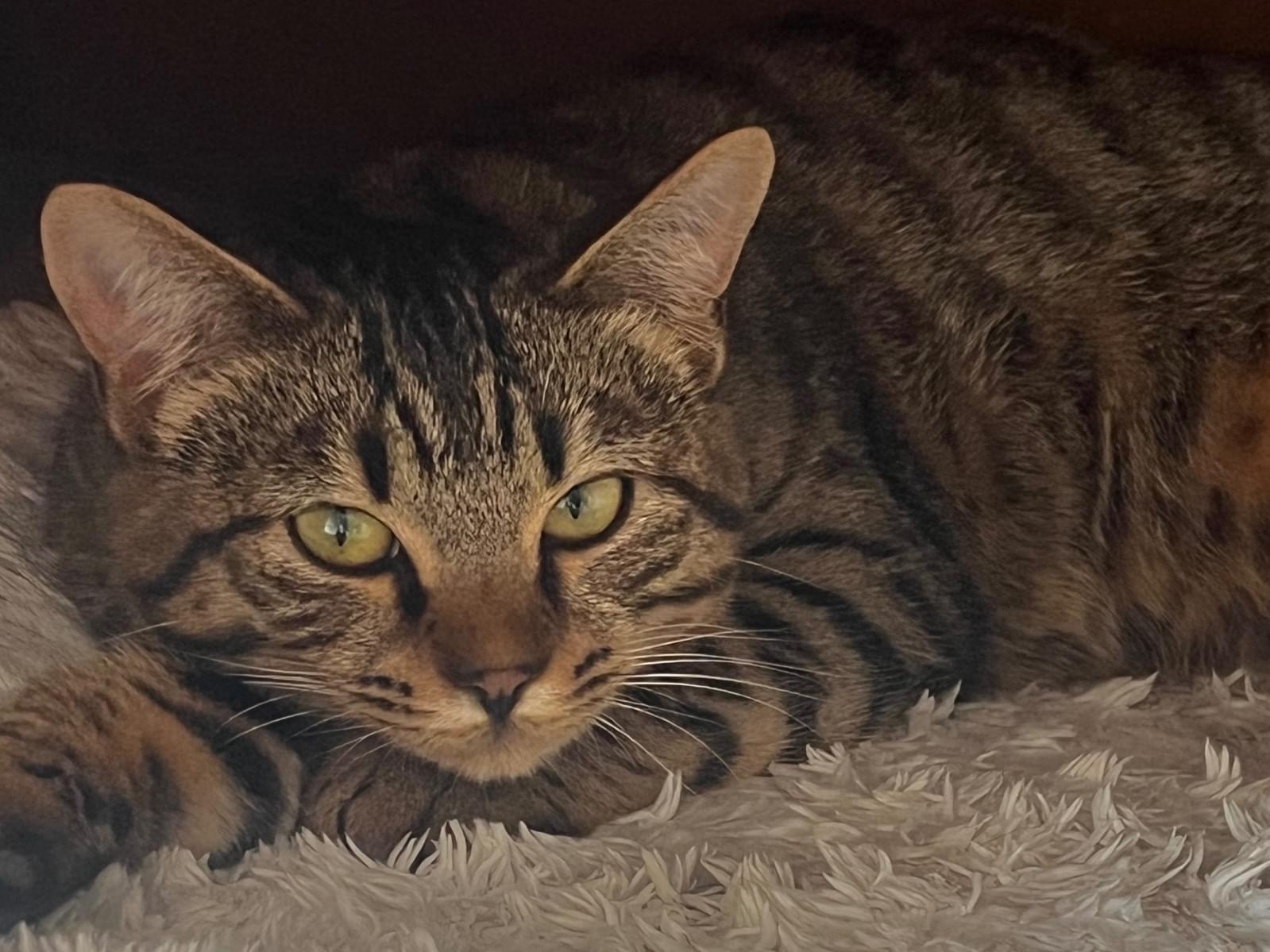 ちびちゃん ちびちゃん