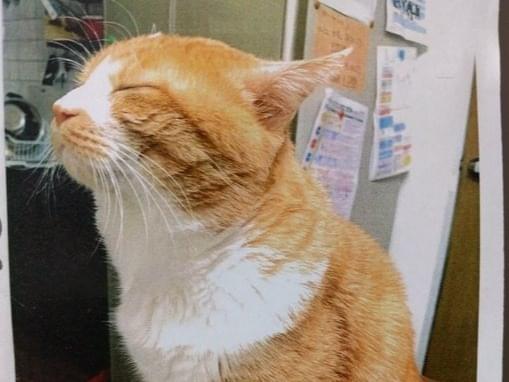 ソラちゃん ソラちゃん