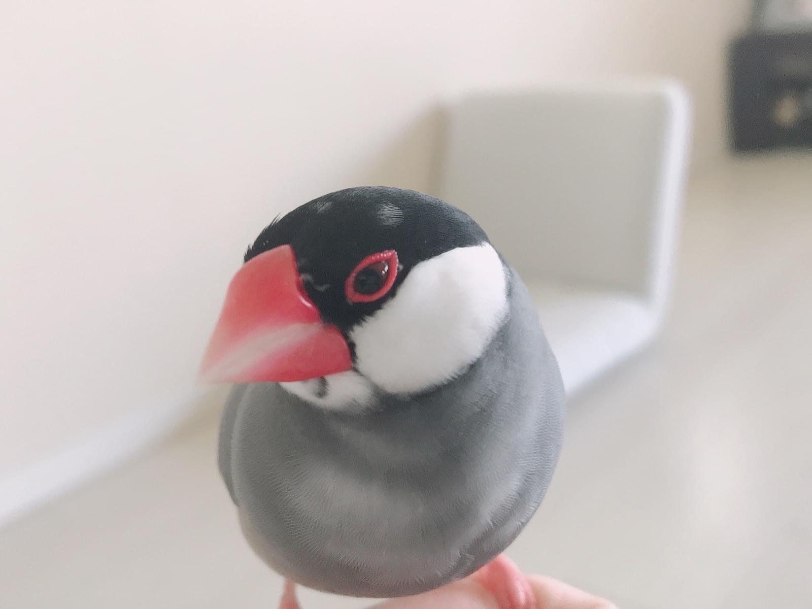 なっちゃん なっちゃん