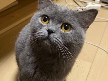 テディちゃん テディちゃん