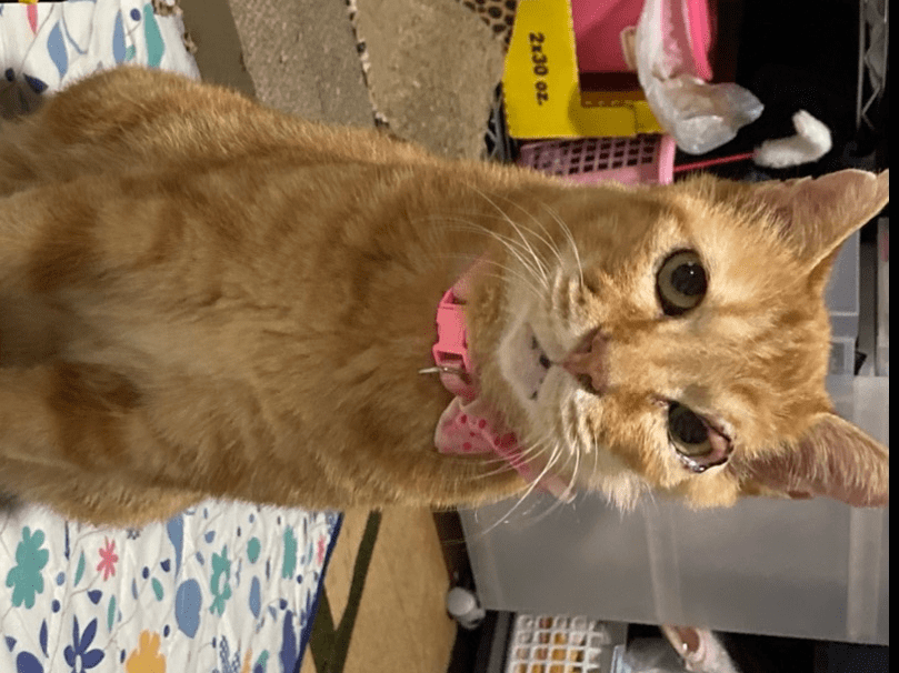 あーちゃん あーちゃん