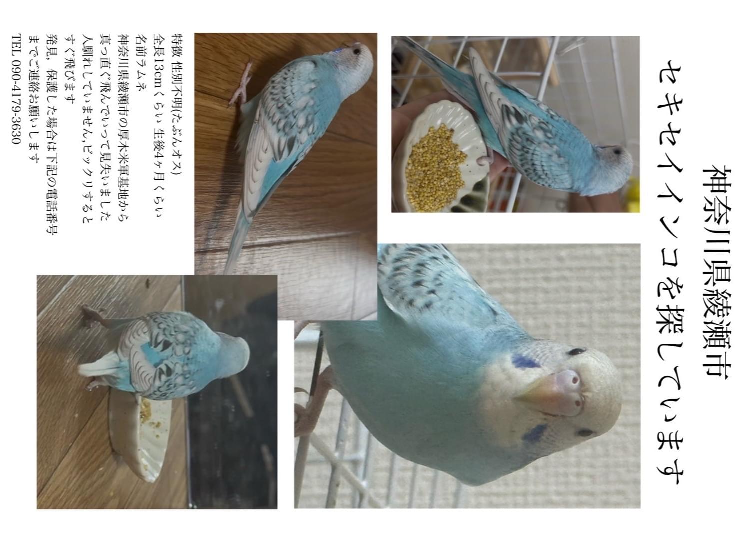 ラムネちゃん ラムネちゃん