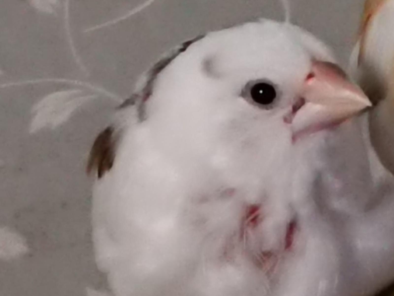 クーちゃん クーちゃん
