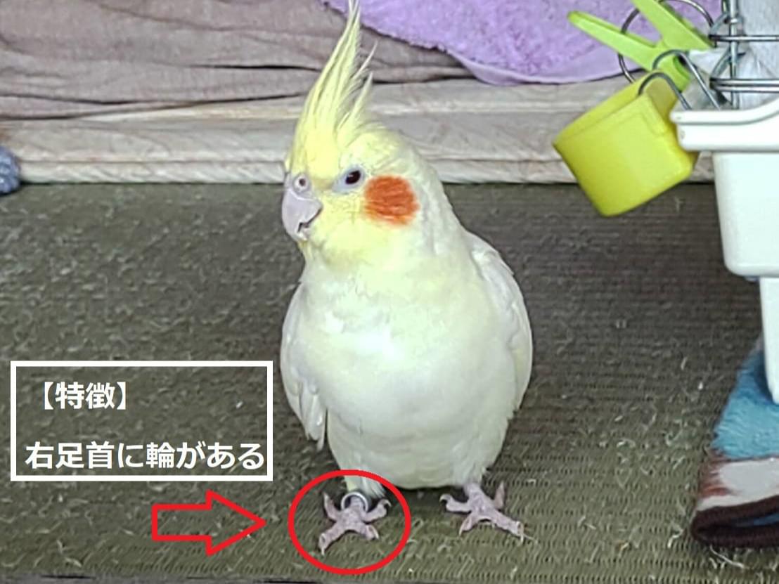 まるちゃん まるちゃん