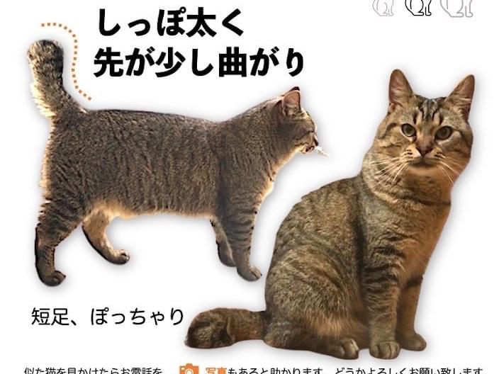 かげとらちゃん かげとらちゃん