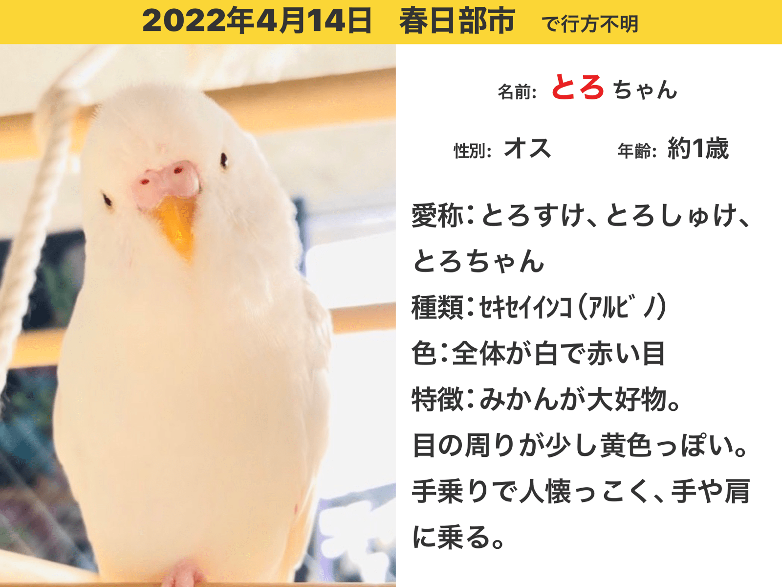とろちゃん とろちゃん