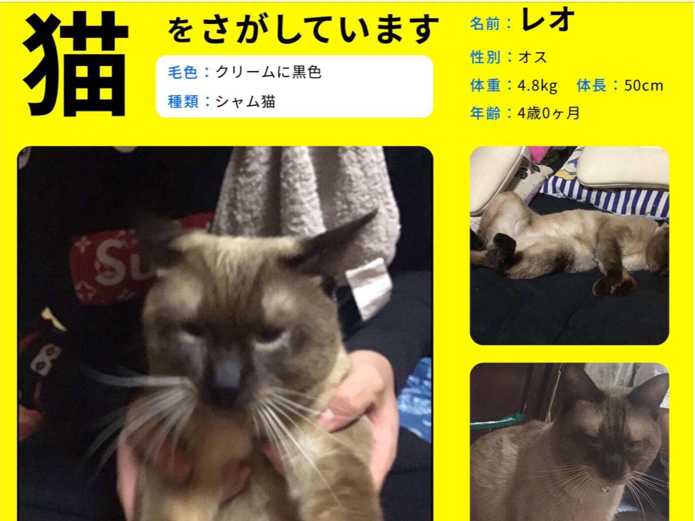 レオちゃん レオちゃん