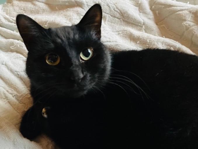 トビオちゃん トビオちゃん