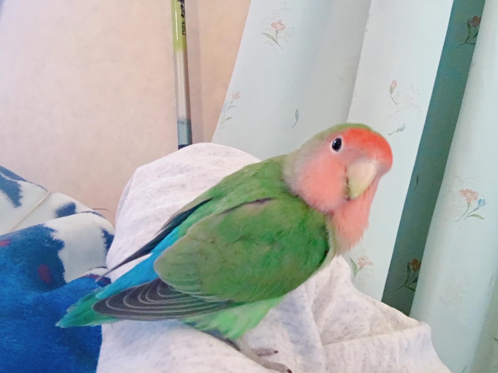 すずちゃん すずちゃん