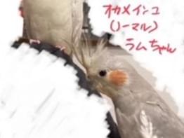 ラムちゃん ラムちゃん