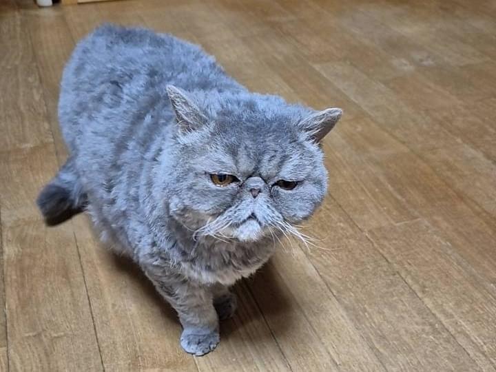あめちゃん