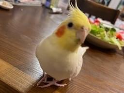 うめちゃん うめちゃん