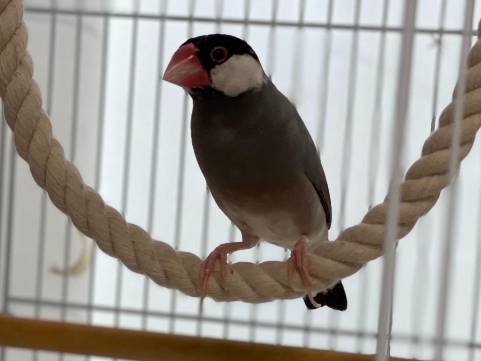 こはるちゃん こはるちゃん