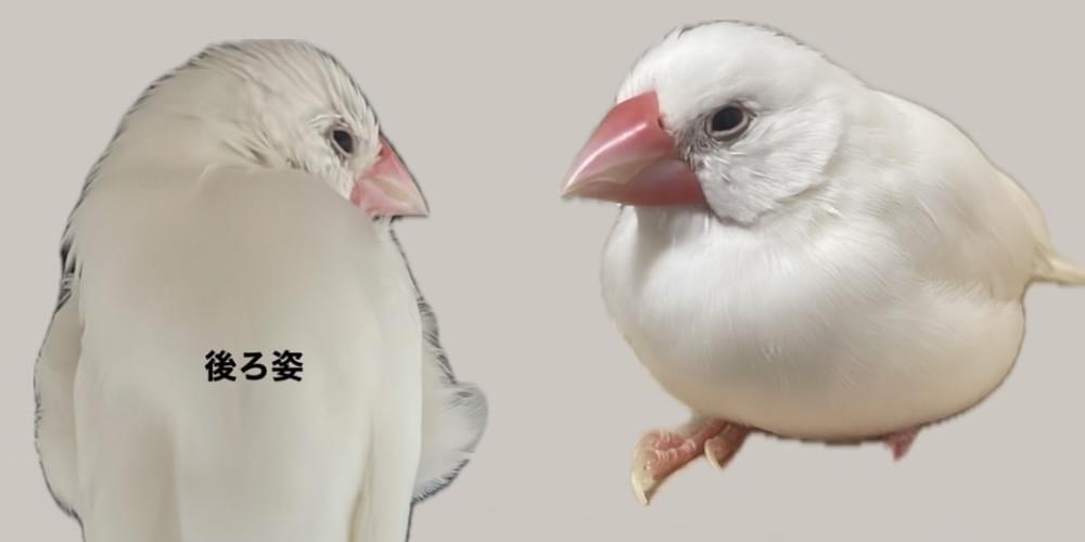 u0idepo.jpg