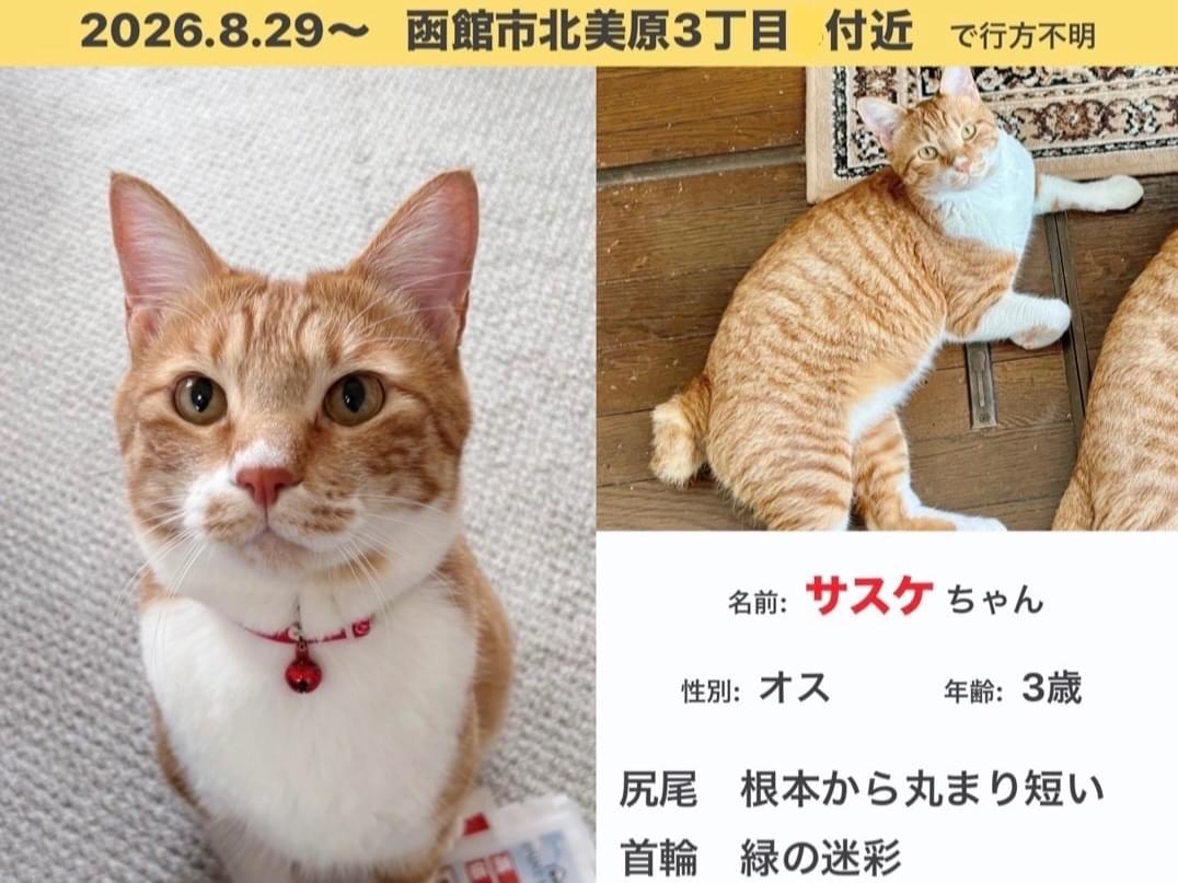 サスケちゃん