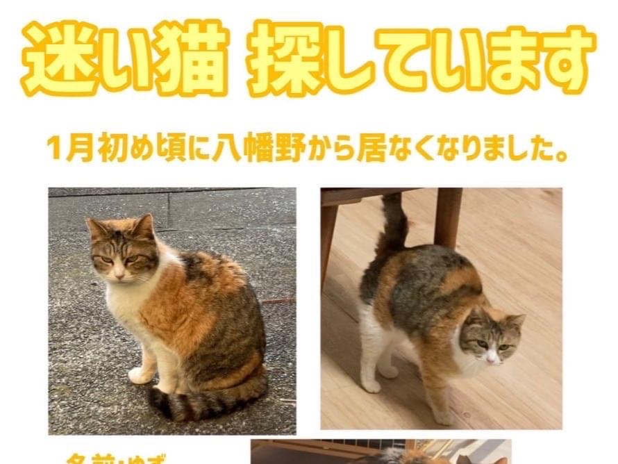 ゆずちゃん ゆずちゃん