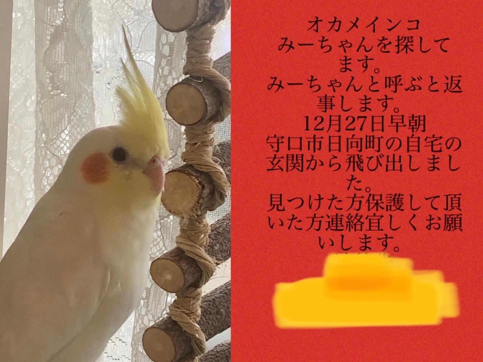 みーちゃん みーちゃん