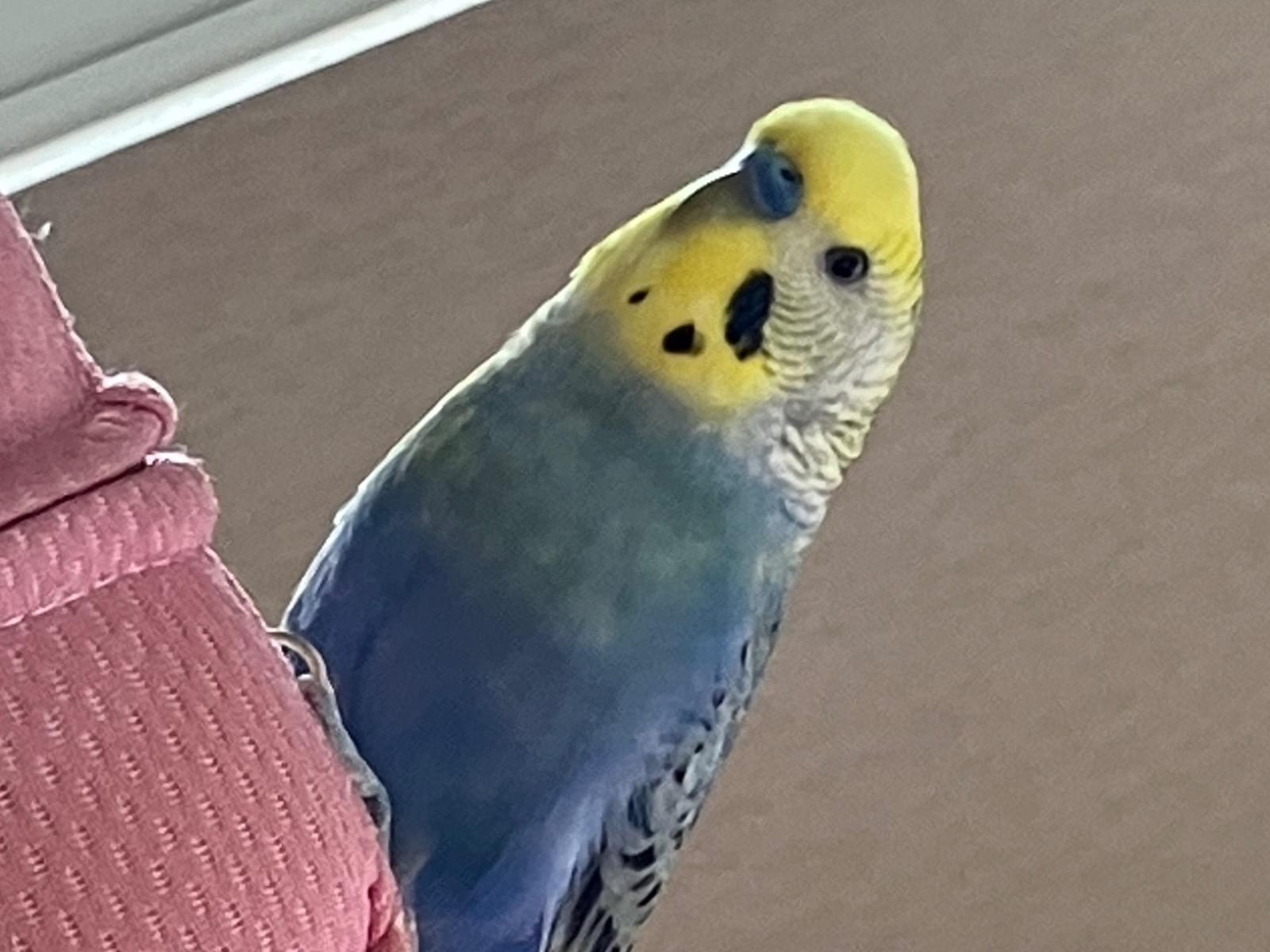 サンちゃん サンちゃん