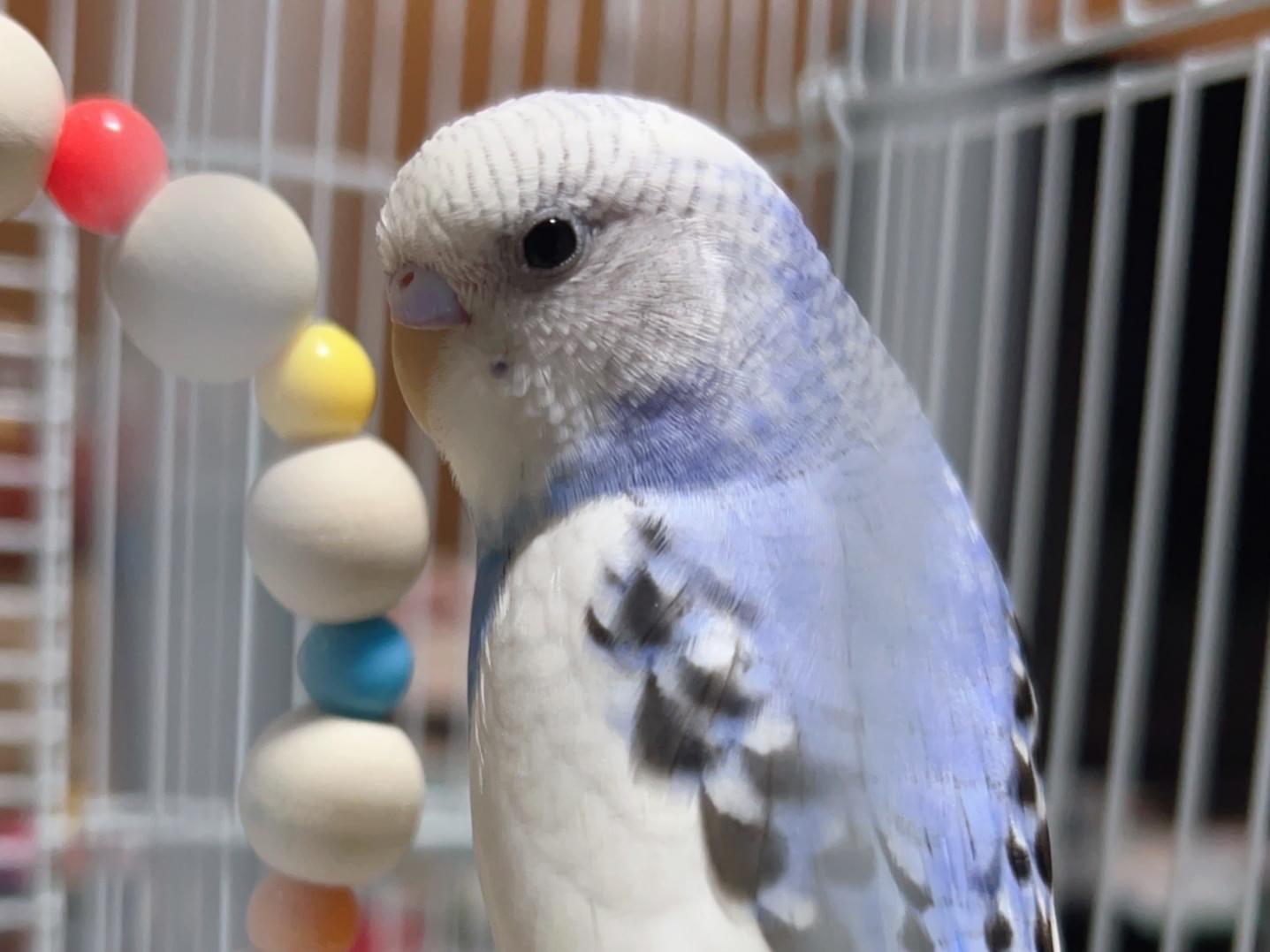 くーちゃん