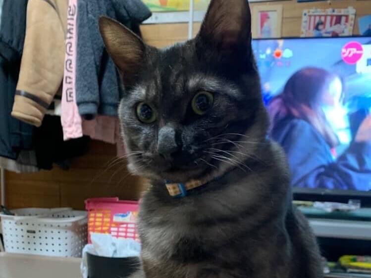 くーちゃん