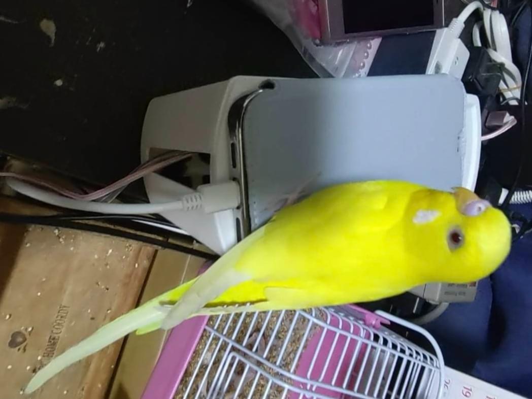 マルちゃん マルちゃん