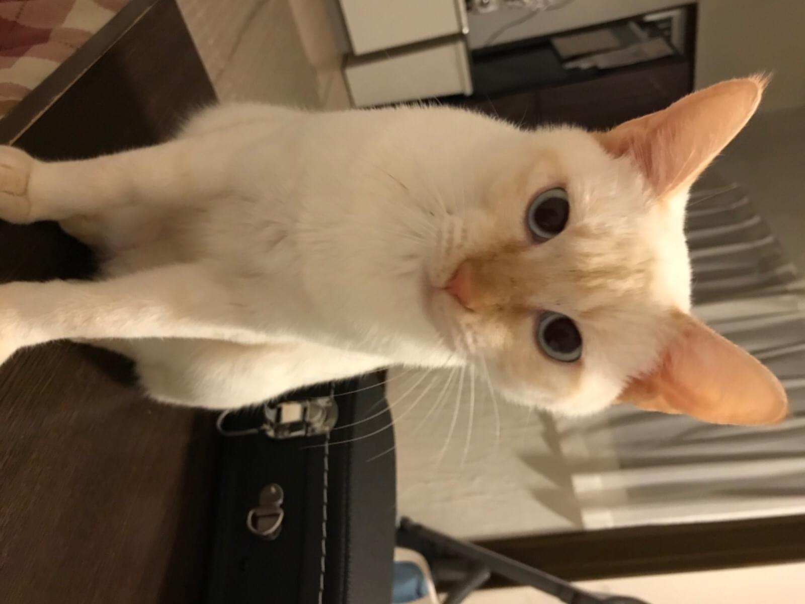 そらちゃん そらちゃん