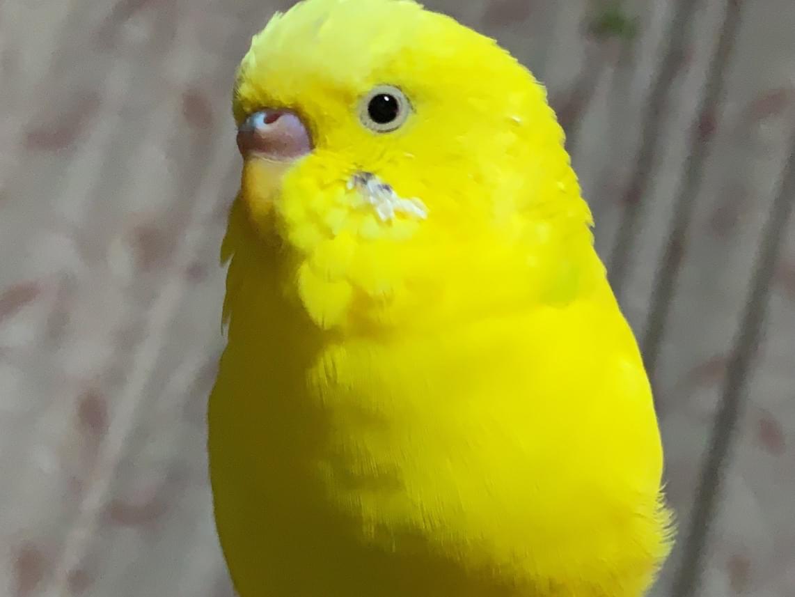 エルちゃん エルちゃん