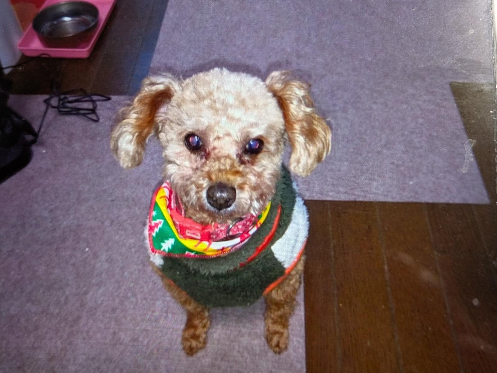 ミルキーちゃん