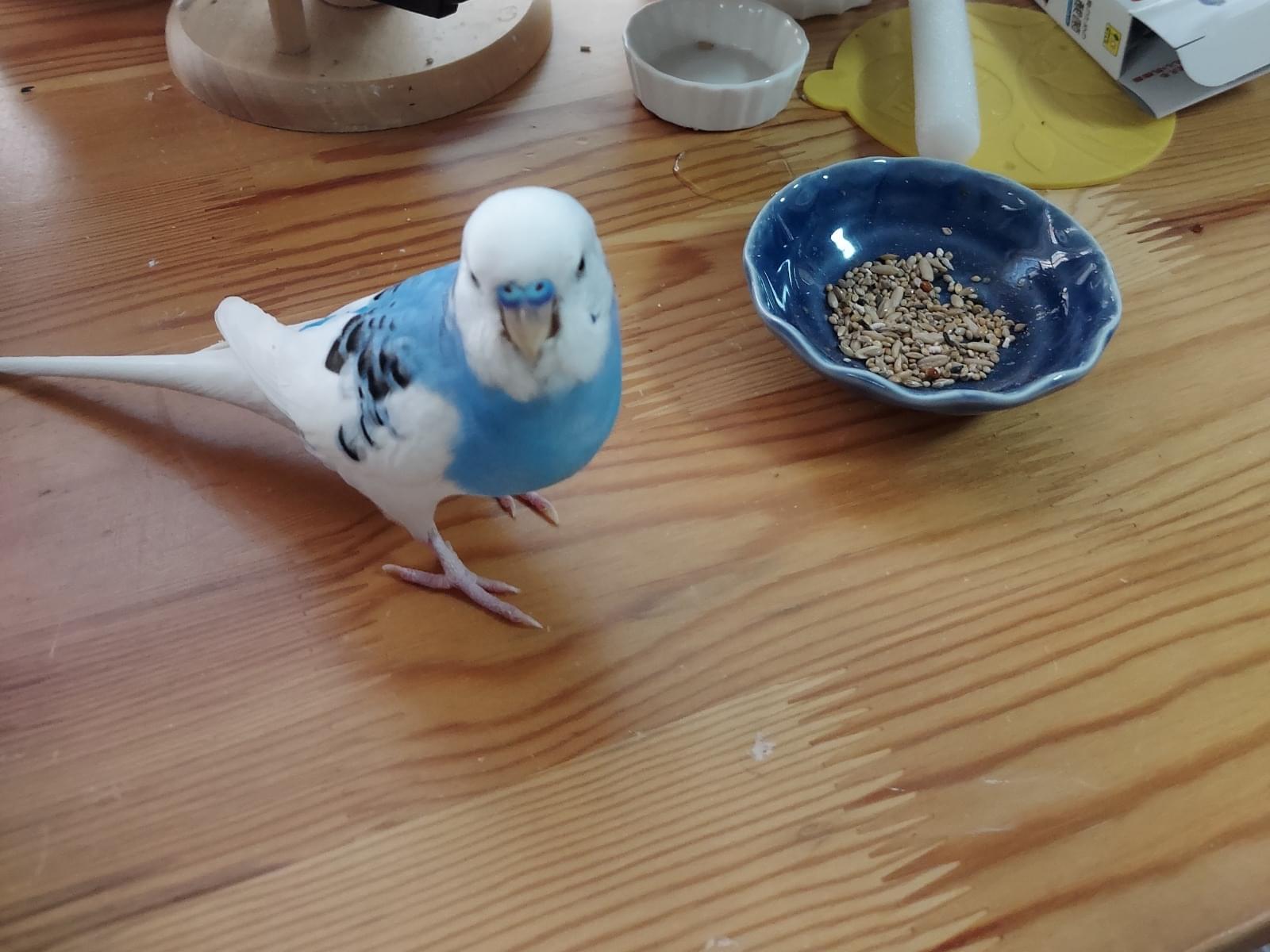そらちゃん そらちゃん