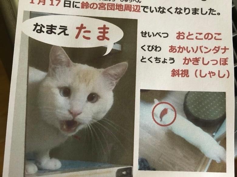 たまちゃん たまちゃん
