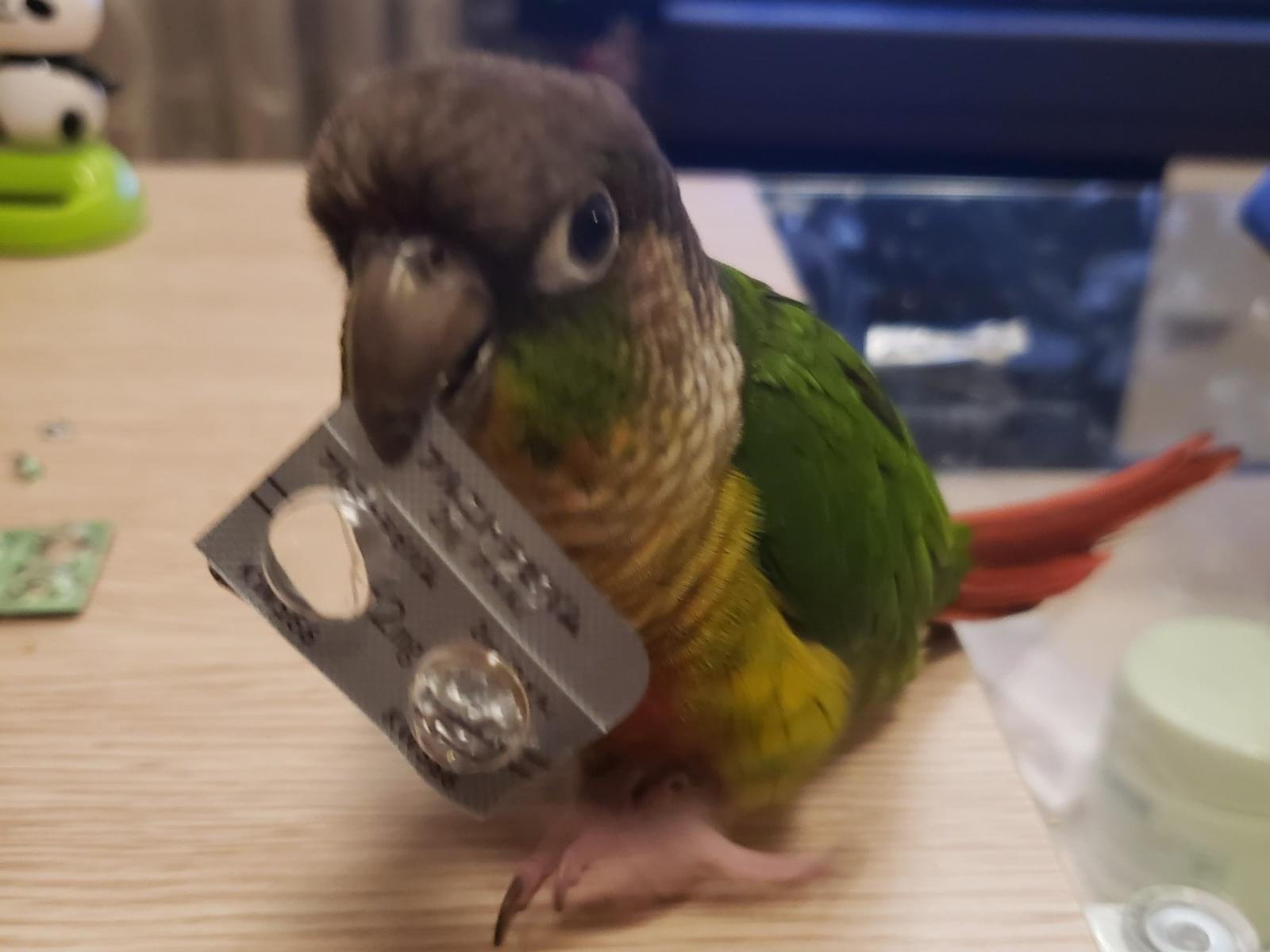 うづきちゃん うづきちゃん