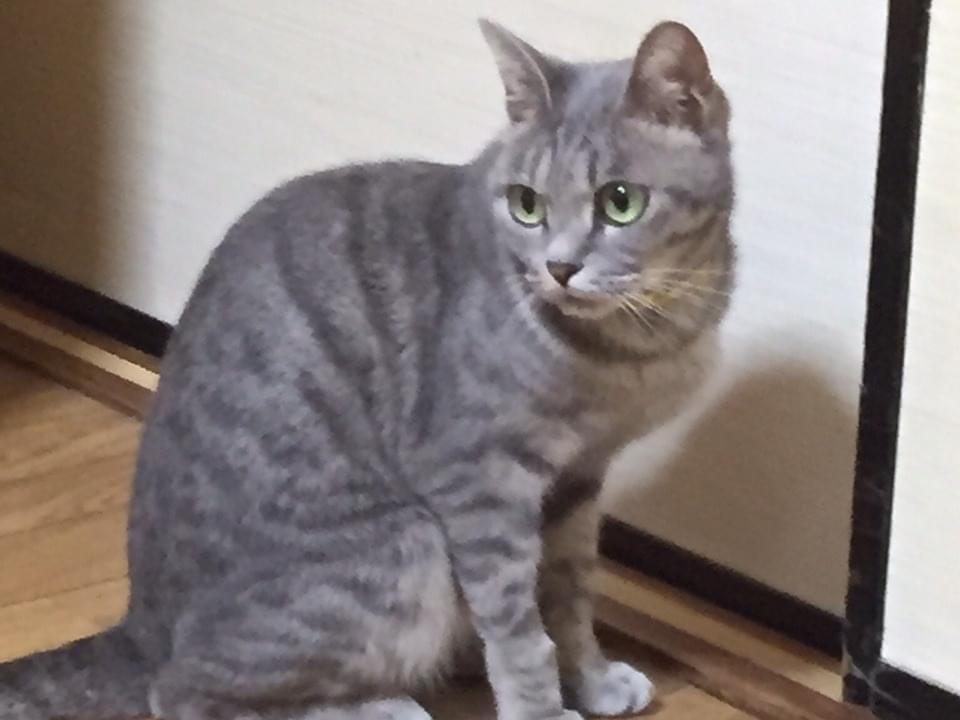 みうちゃん みうちゃん