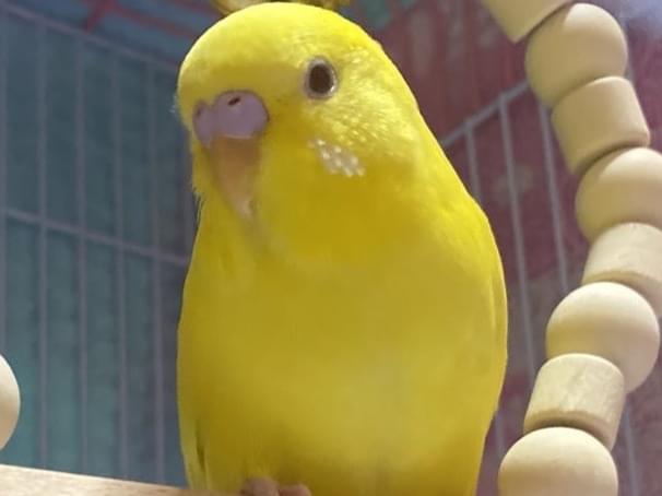 まるちゃん まるちゃん