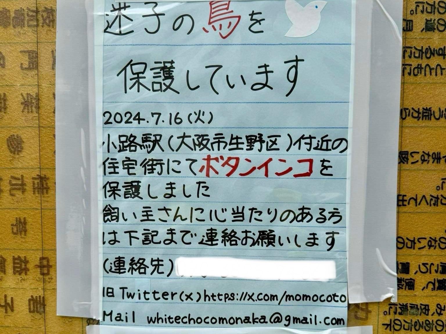 保護された鳥 保護された鳥