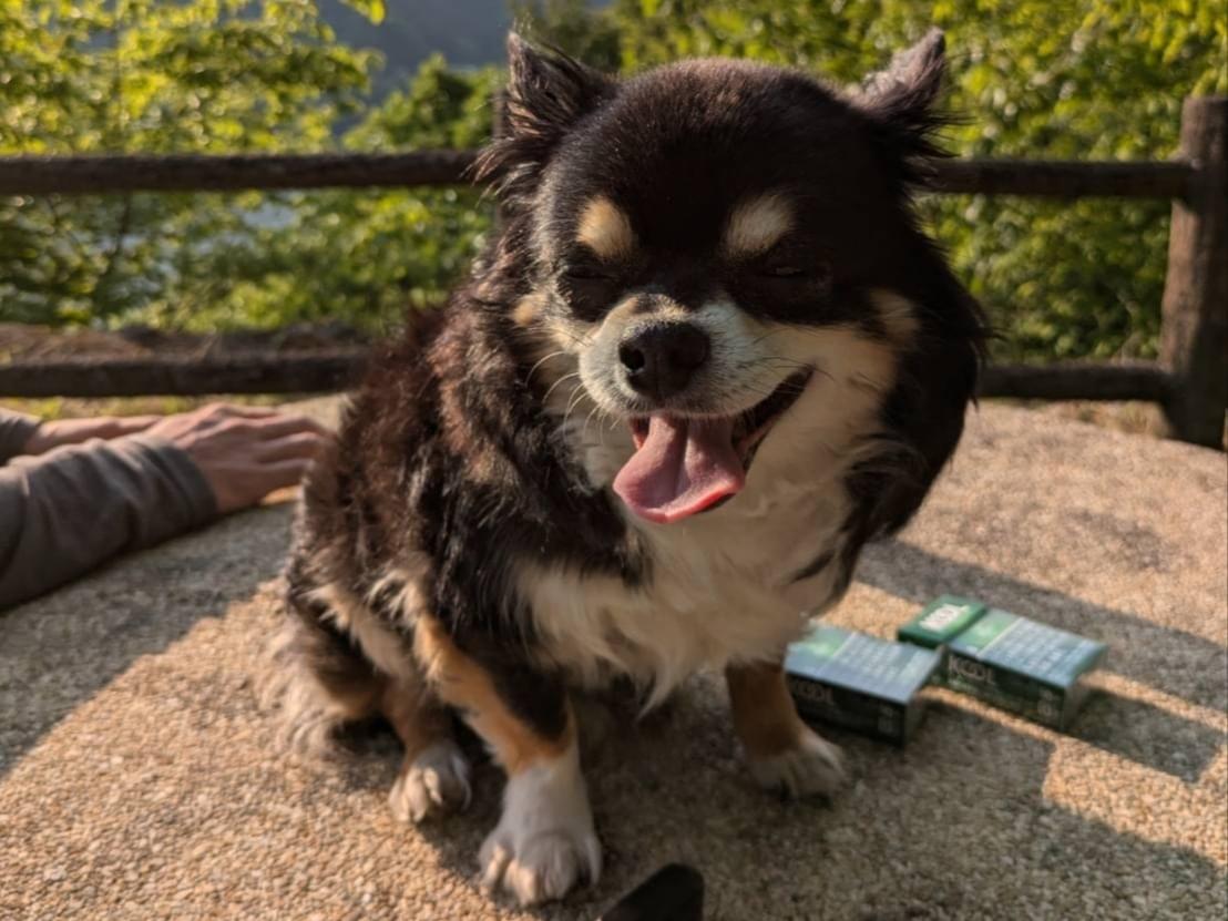 レオンちゃん レオンちゃん