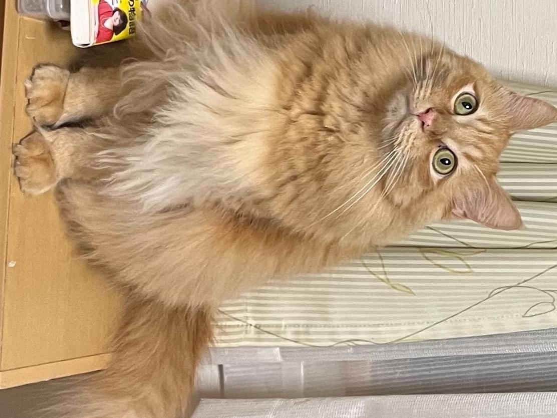 すずちゃん すずちゃん