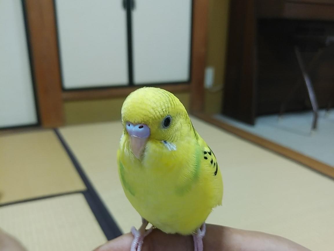 キキちゃん キキちゃん